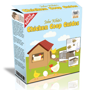 Chicken coop building plans